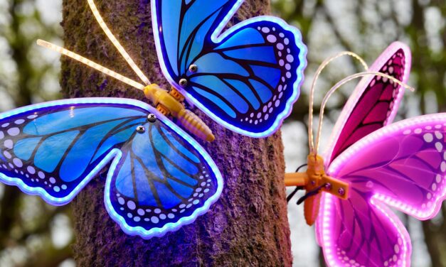 Let’s Talk About the Uncomfortable: Why Therapists Struggle to Talk About Money (and Income)