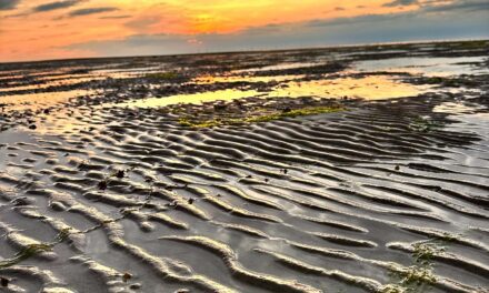 Body Image, Holidays, and Feeling Safe in Your Skin: A Summer Survival Guide