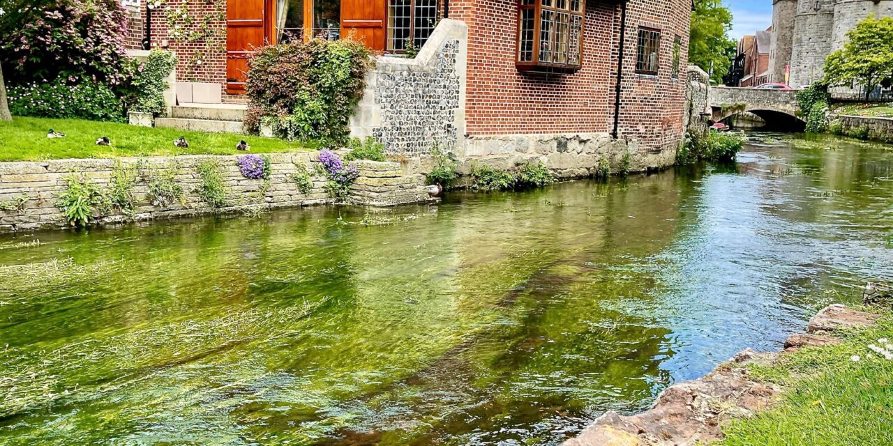 What Therapy in Canterbury Is Really Like: Honest Reflections from a Trauma-Informed Counsellor