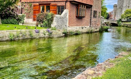 What Therapy in Canterbury Is Really Like: Honest Reflections from a Trauma-Informed Counsellor