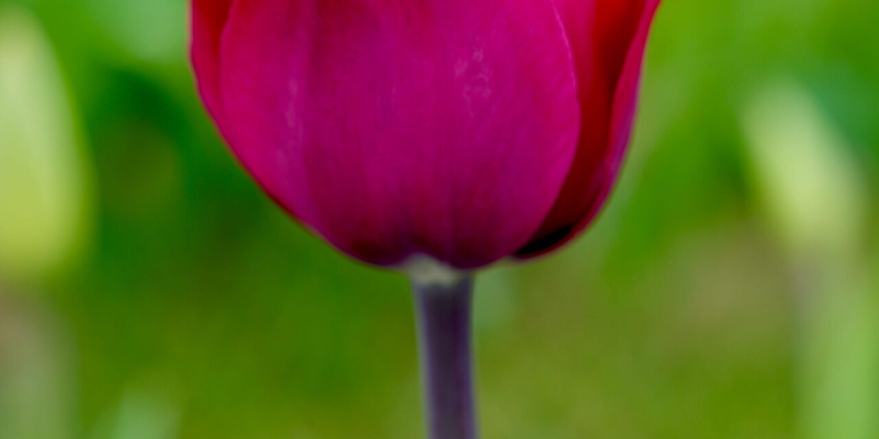 You’re Not Broken: Rebuilding Self-Esteem and Finding Your Voice