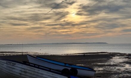 Healthy on the Outside, Hurting on the Inside: When Control Becomes a Coping Mechanism