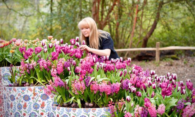 Why So Many Women Are Getting Diagnosed with ADHD After 35