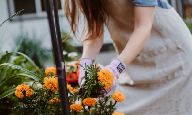 IF YOUR MIND WERE A GARDEN: 5 WAYS TO CULTIVATE MENTAL WELLBEING