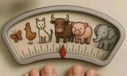 Why “Funny” Scales Are Anything But Funny: The Dangerous Impact of Weight-Shaming Messages