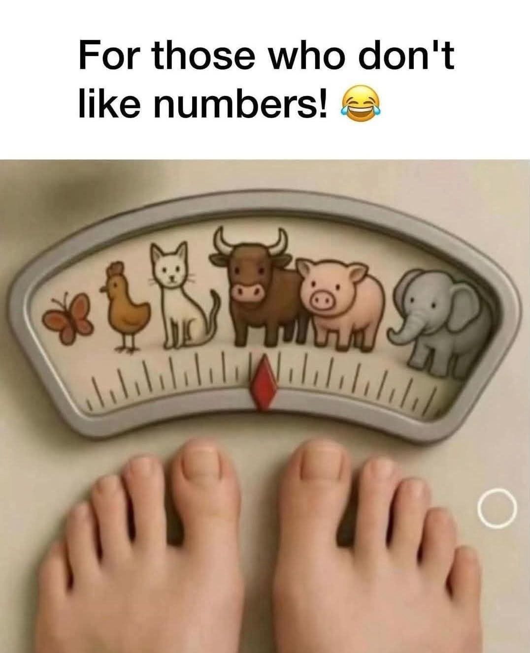 Eating Disorders Canterbury – Mounjaro Weight Loss Scale “Bathroom scale with animals instead of numbers – blog on Mounjaro weight loss culture and eating disorder therapy in Canterbury”
