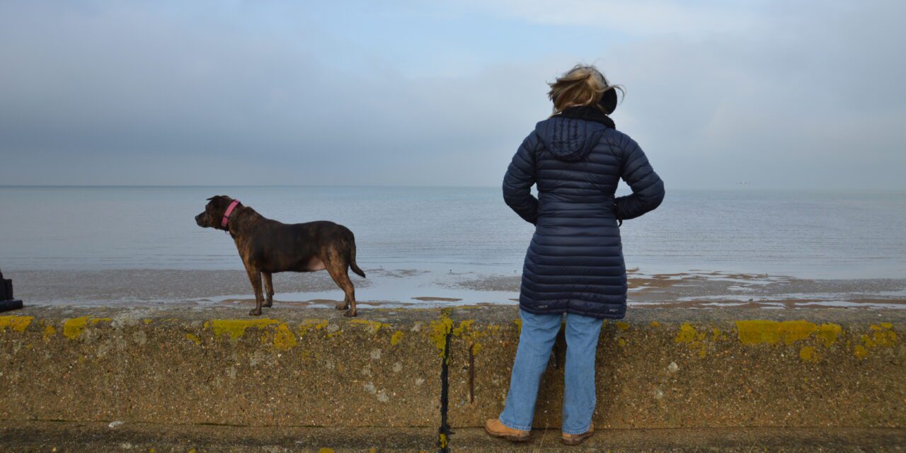 Finding Purpose Through the Winter Months