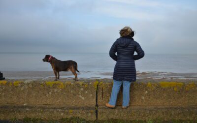 Finding Purpose Through the Winter Months